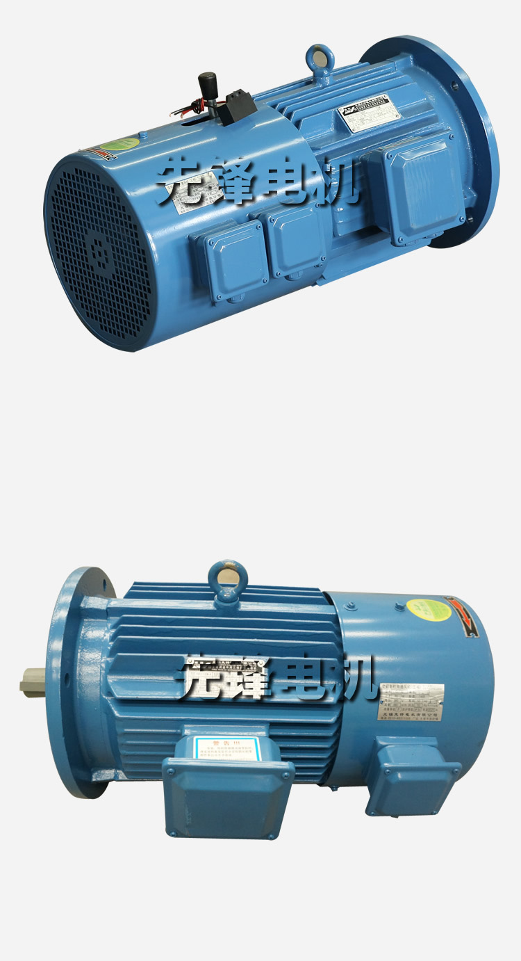 YTSP變頻電機(jī) (3).jpg